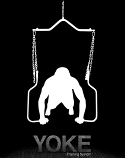 <Yoke Training System- The new revolution in training>